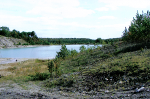 Lake Rehabilitation